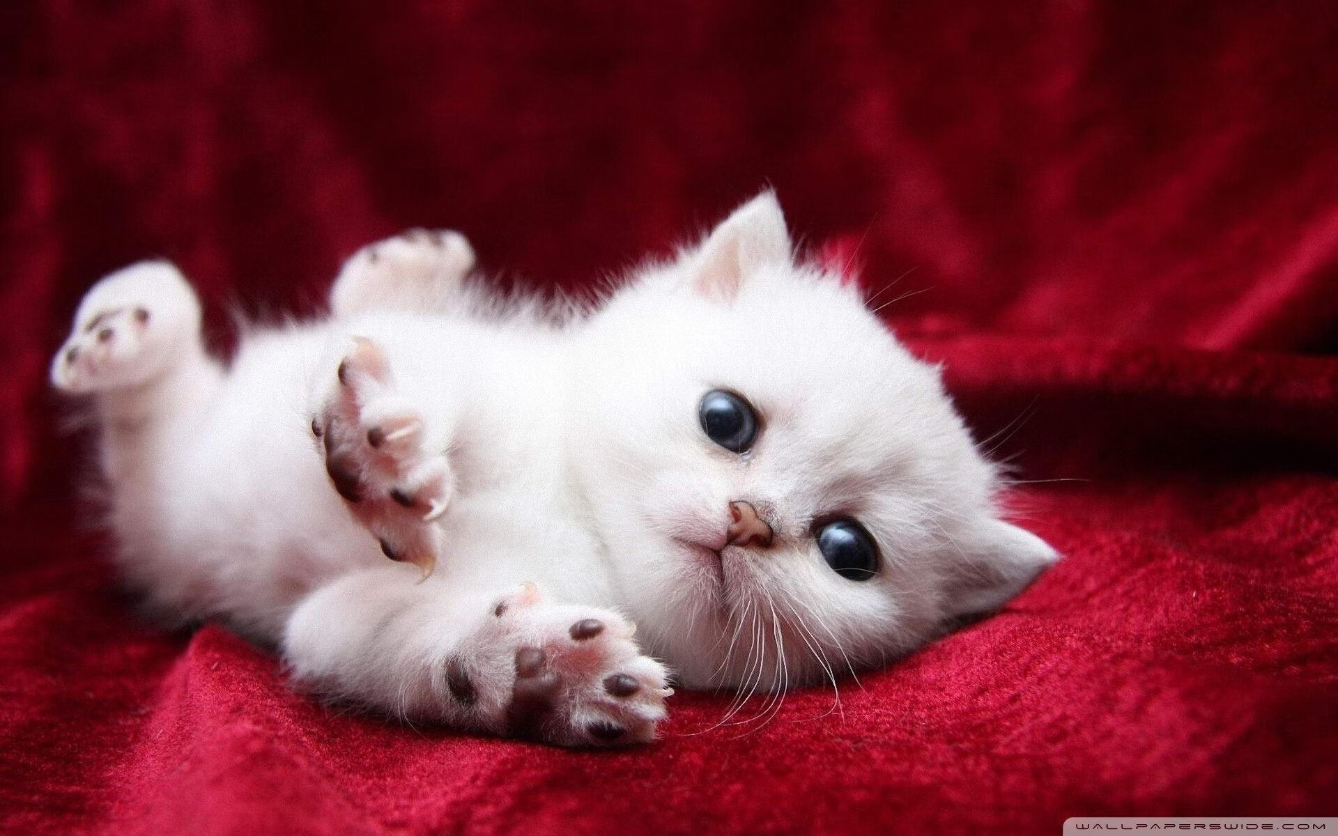 雷火电竞下载-虚空对决，当恩比德的节拍器踩碎广厦的秒表，步行者完成跨次元绝杀