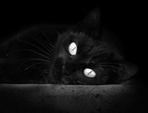 雷火电竞-铁血森林狼撕碎汽车城，小贾伦·杰克逊的禁区启示录