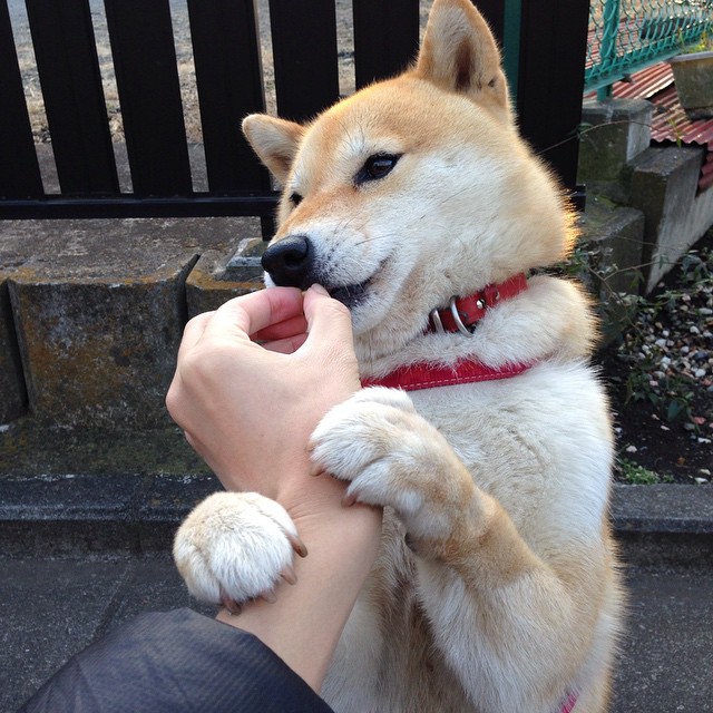 禁区王座上，死神降临，杜兰特末节19分逆天改命，雄鹿强压步行者夺赛点