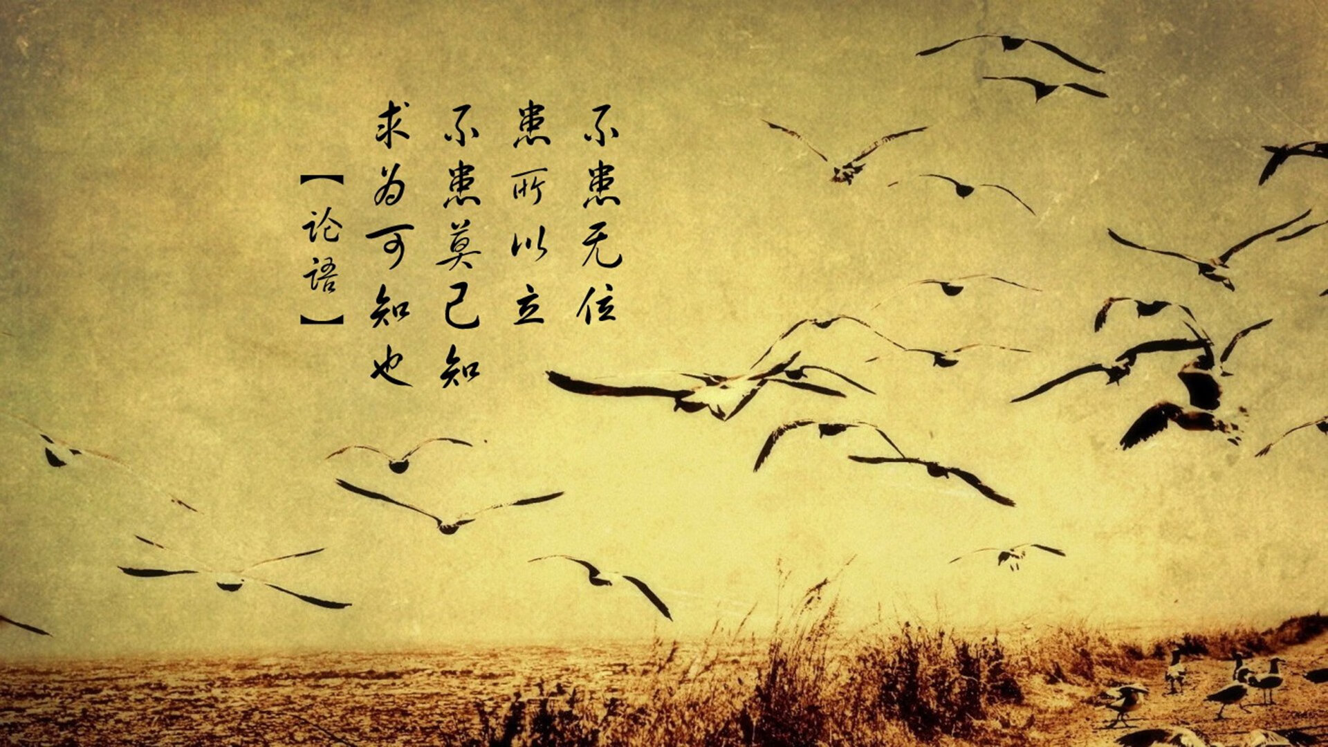 死神抢七封神，勇士三节定局，真正定义王朝的瞬间