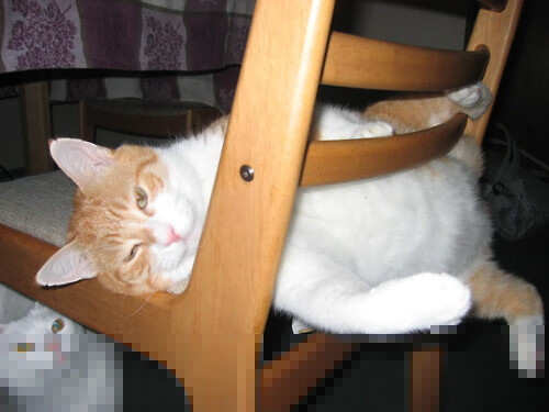 杜兰特数据核爆休斯顿，当死神以国王之名审判火箭