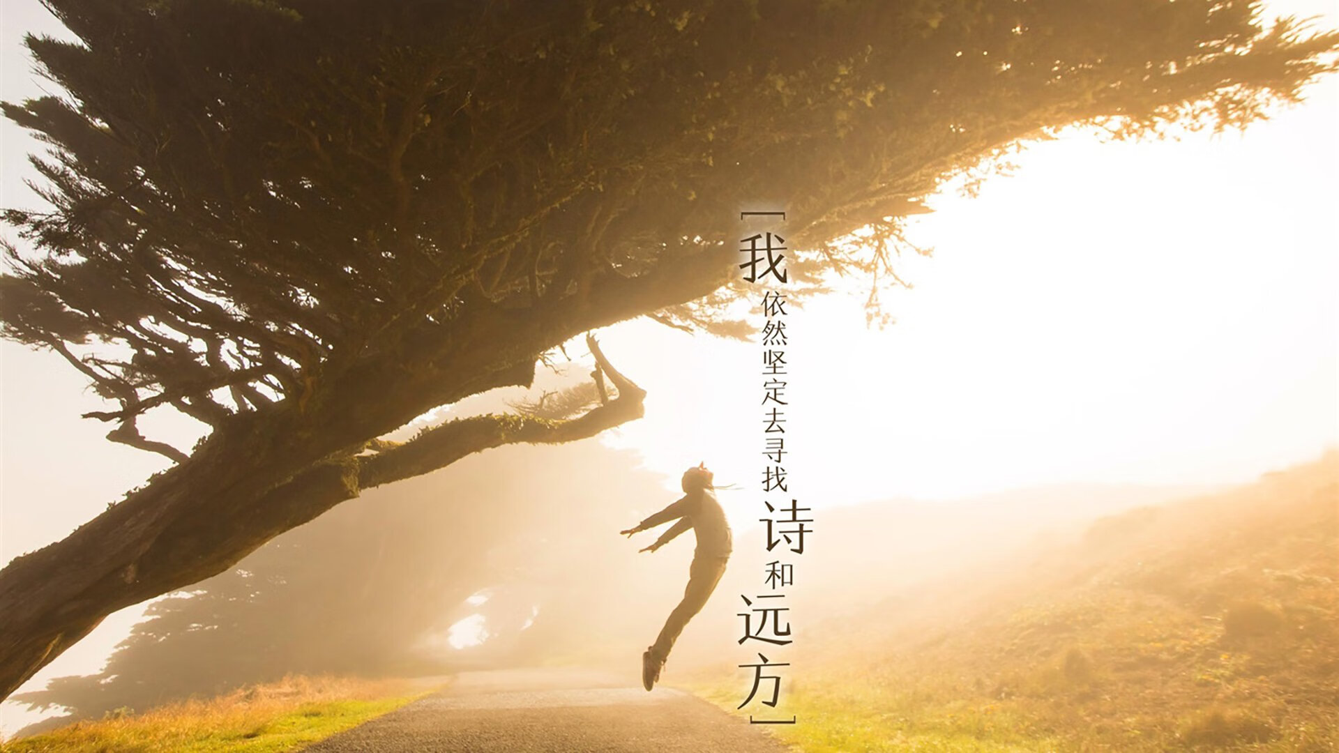 无声的王权，一场压制背后的权力迁徙