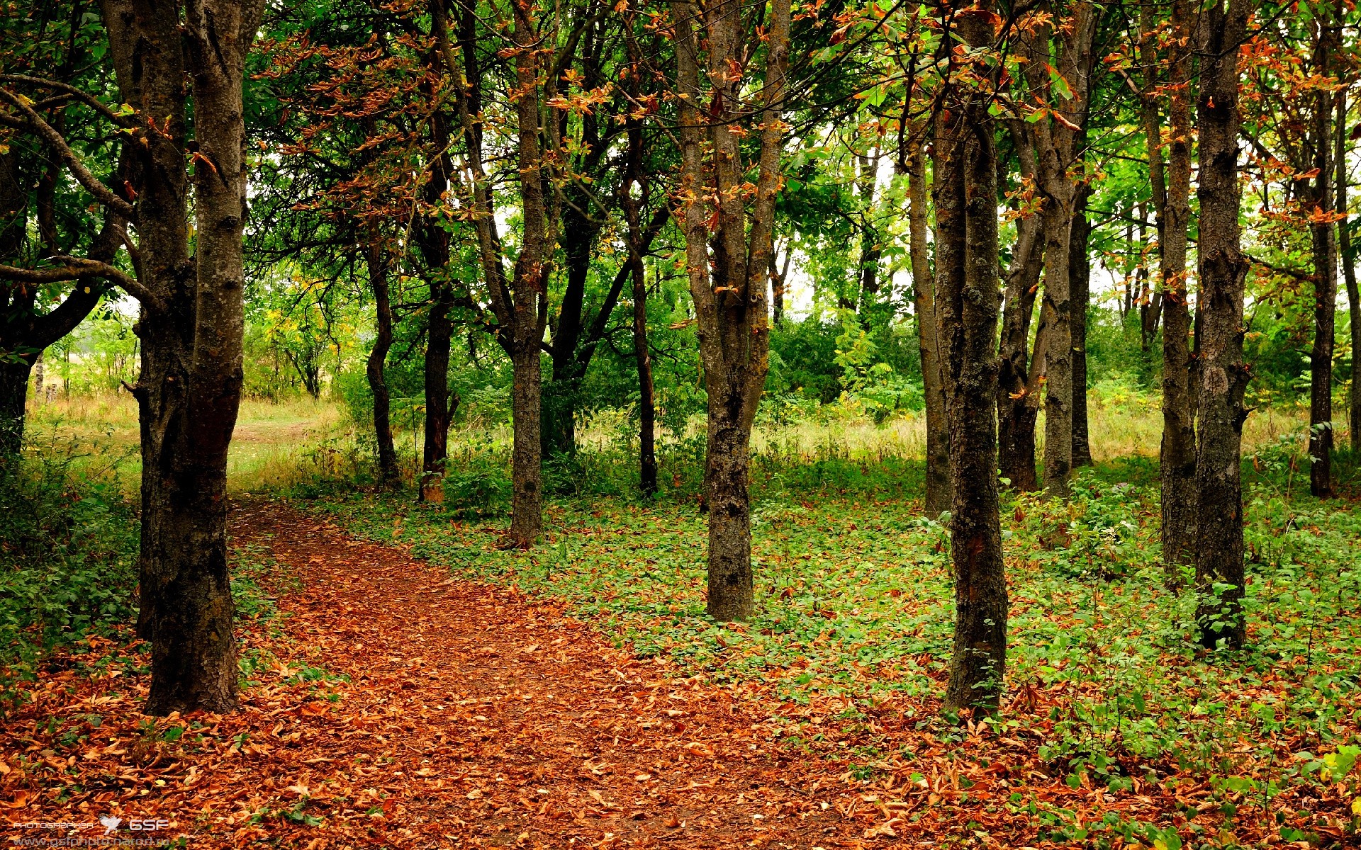 突尼斯对阵墨西哥，恩佐的存在感拉满，一位中场的强势入围