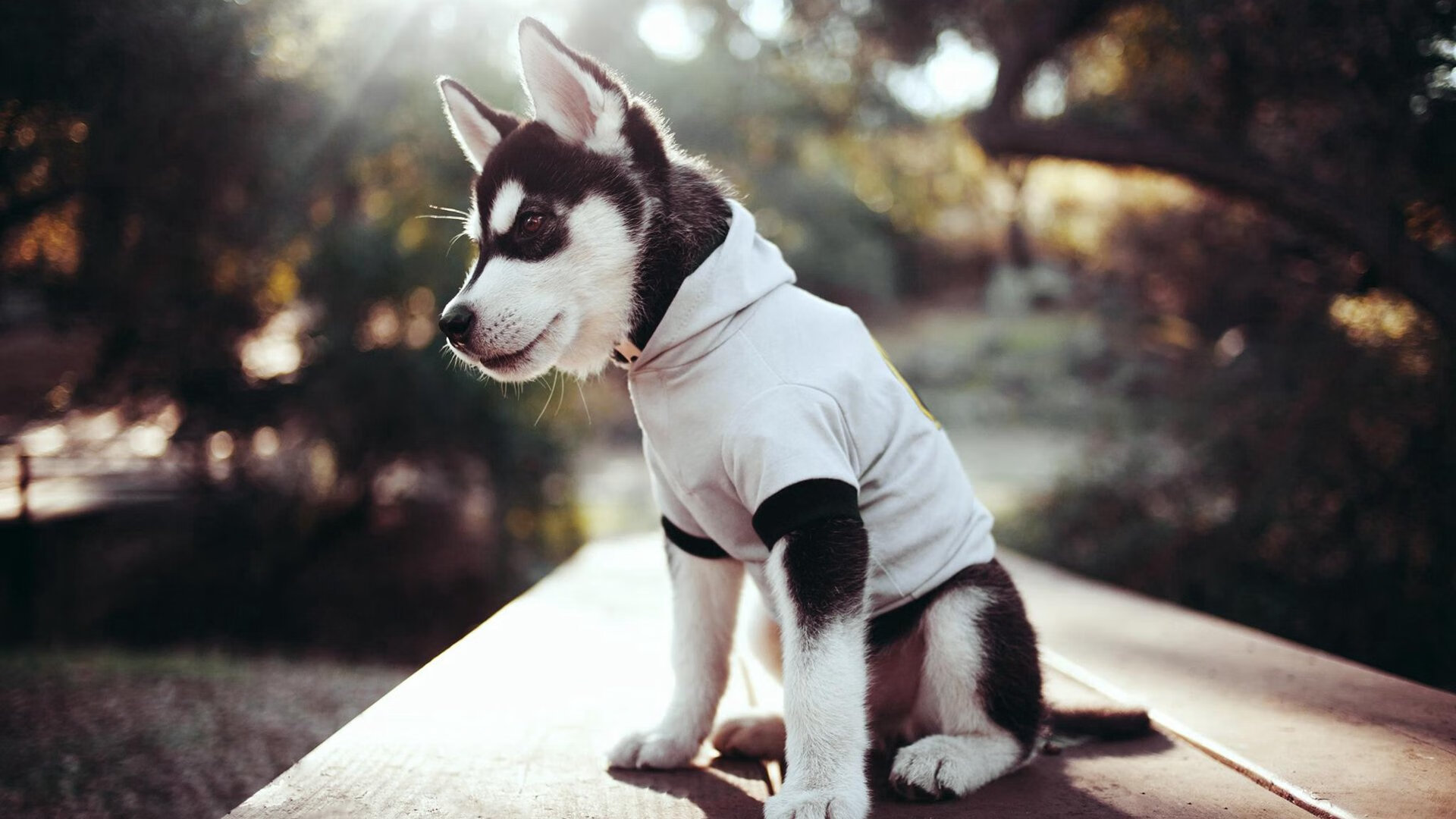 安哥拉巨浪熄灭红龙!无名军团制霸绿茵,凯恩的孤独王座