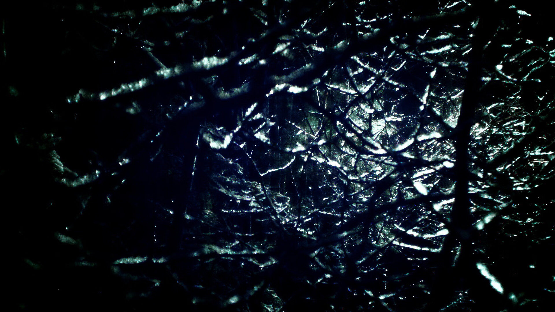 街道上的速度与对抗,F1焦点战与快船开拓者之战