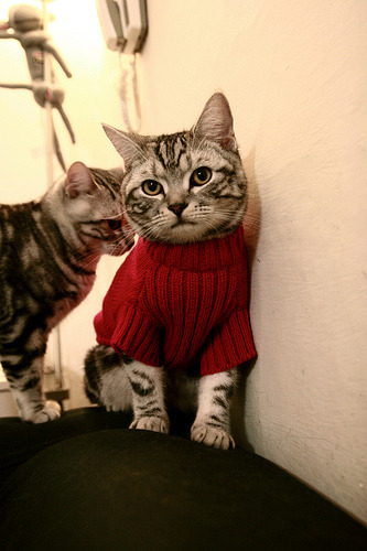 雷火电竞网址-一瞬戏剧性，苏亚雷斯的致命助攻与希腊神话的意外续章