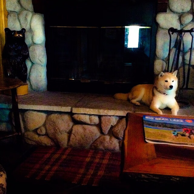 雷火电竞亚洲先驱-北欧风暴席卷非洲雄鹰，罗德里格一锤定音，挪威完成不可思议掀翻