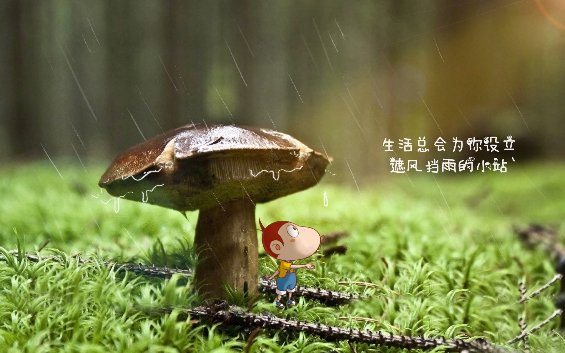 宿命对决中的孤勇者，当头名之争撞上哈兰德现象，克罗地亚用韧性撕开秘鲁防线，书写世界杯最燃篇章