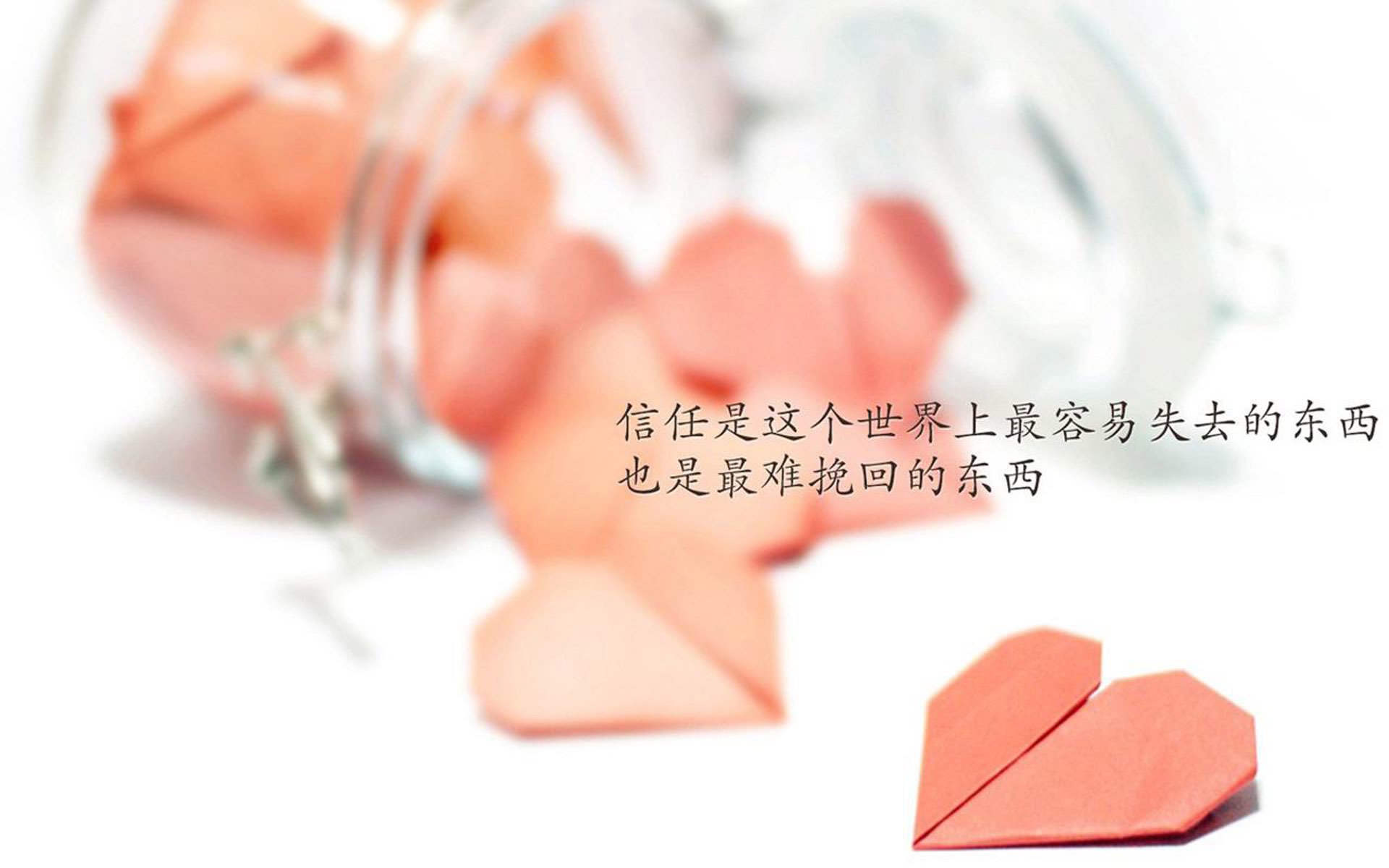 唯一对决—2026世界杯A组强强对话,卡塔尔碾压波兰,拉什福德闪耀全场