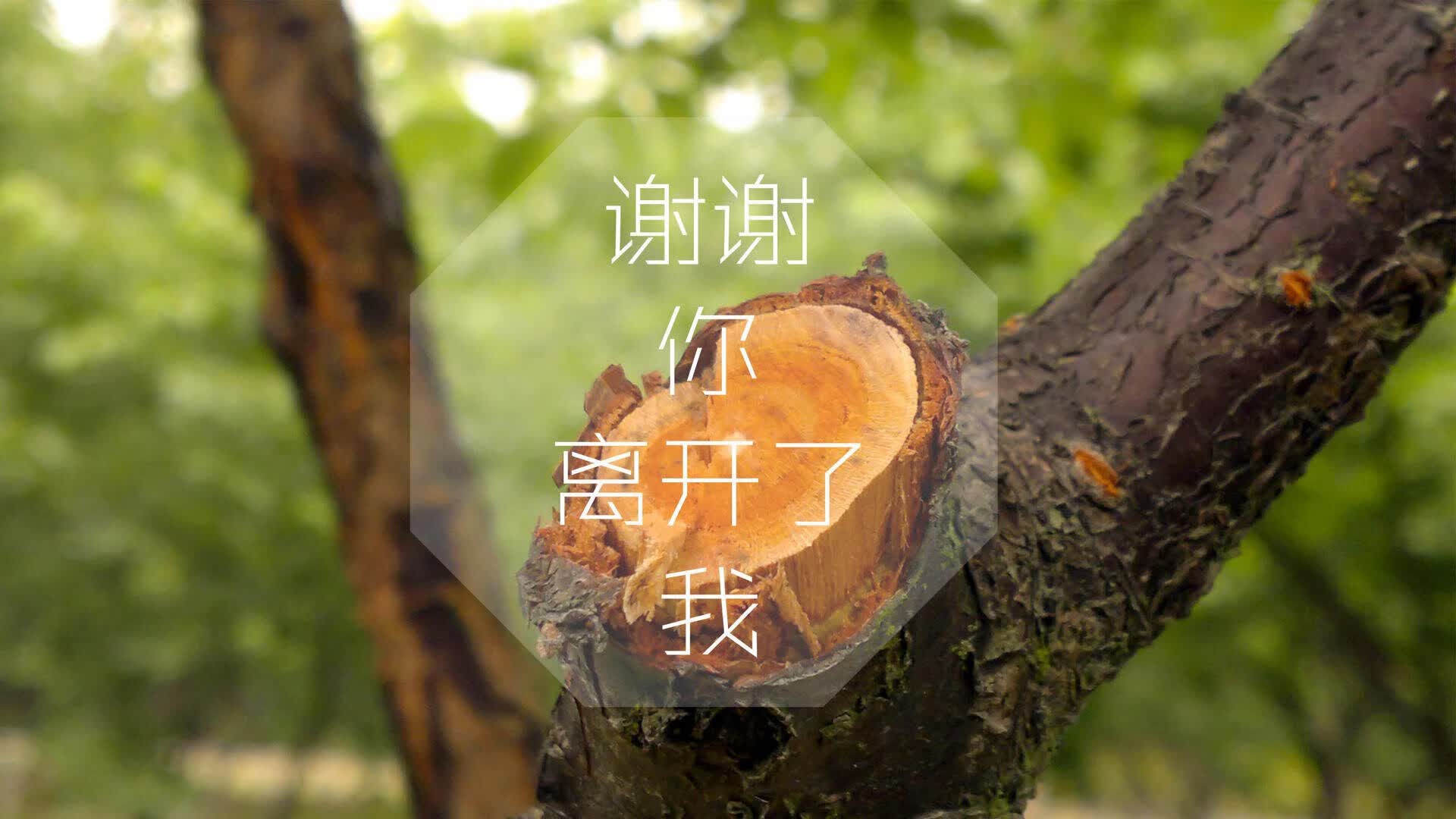 扩展思维的文章标题
